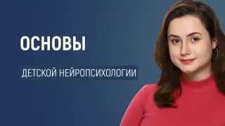 Основы детской нейропсихологии: понимание и поддержка развития ребенка
