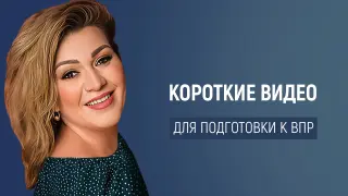 Опыт применения формата коротких видео в образовательном процессе для подготовки к ВПР