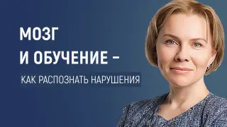 Мозг и обучение: как распознать нарушения развития