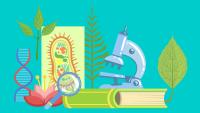 Изображение-заглушка для вебинара Что мешает развитию творческих способностей школьников на уроках биологии?