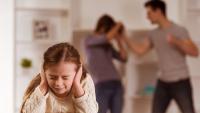 Изображение-заглушка для вебинара Нарушенное поведение детей и подростков как симптом семейной дисфункции