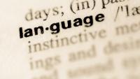 Изображение-заглушка для вебинара Лексический подход к обучению иностранному языку