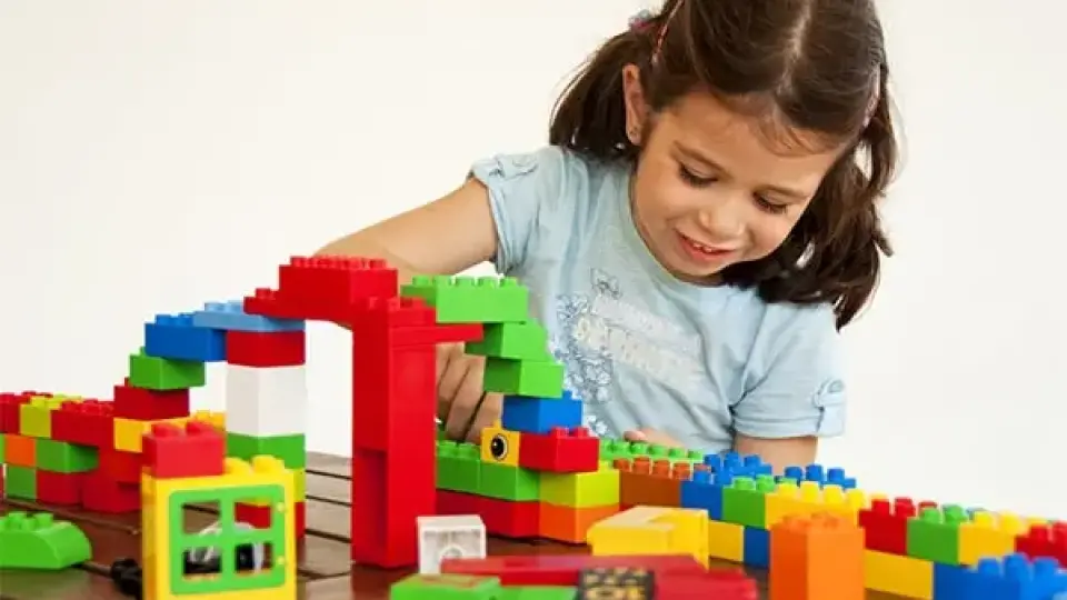 Использование конструктора LEGO в работе с детьми дошкольного и младшего школьного возраста