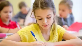 Формирование универсальных учебных действий на уроках русского языка в начальной школе: как обучать младших школьников созданию письменных текстов-рассуждений