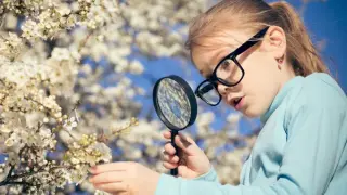 Развитие исследовательских умений младших школьников