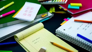 Стратегии подготовки к ГИА (ОГЭ и ЕГЭ) по английскому языку. Use of English: как структурировать лексико-грамматические знания выпускников основной и полной средней школы