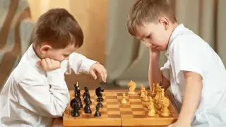 Шахматы как инновационный и здоровьесберегающий предмет в системе образования и федеральный курс И. Г. Сухина «Шахматы – школе». Целеполагание