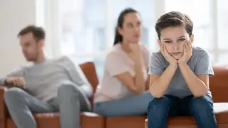 Семейная медиация
