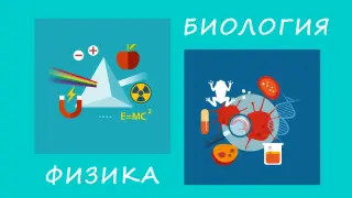 Физика в биологии