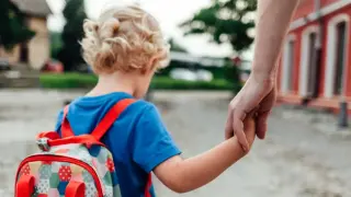 Тьюторское сопровождение обучающихся с ОВЗ в инклюзивной школе