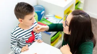 Коррекционная работа с дошкольниками в интерактивных игровых занятиях МЕРСИБО