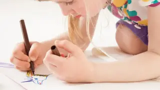 Особенности организации художественно-творческой деятельности детей при изображении животных (модуль: Я и мир животных)