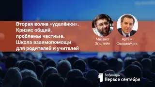 Вторая волна «удалёнки». Кризис общий, проблемы частные. Школа взаимопомощи для родителей и учителей