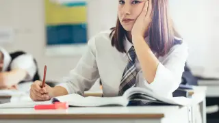 Подготовка учащихся к государственной итоговой аттестации по обществознанию: развивающий потенциал заданий разного уровня сложности