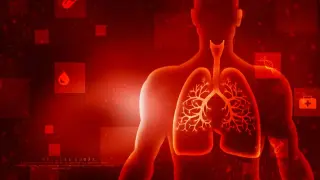 Базовые психофизиологические аспекты дыхания