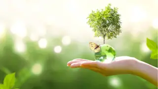 Почему сегодня каждому из нас необходимы знания по биологии?