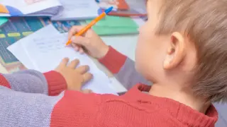 Английский язык: диагностика и контроль знаний младших школьников
