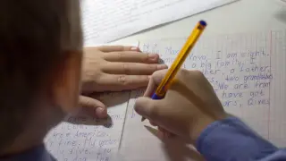 Обучение младших школьников смысловому чтению на английском языке