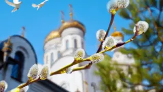 Христианство в современной России