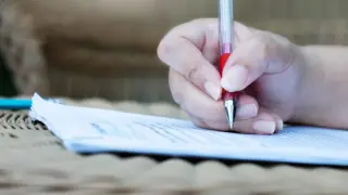 Ошибки в сочинениях ЕГЭ по русскому языку – 2021: как можно было сохранить баллы