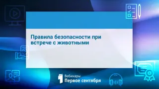 Правила безопасности при встрече с животными