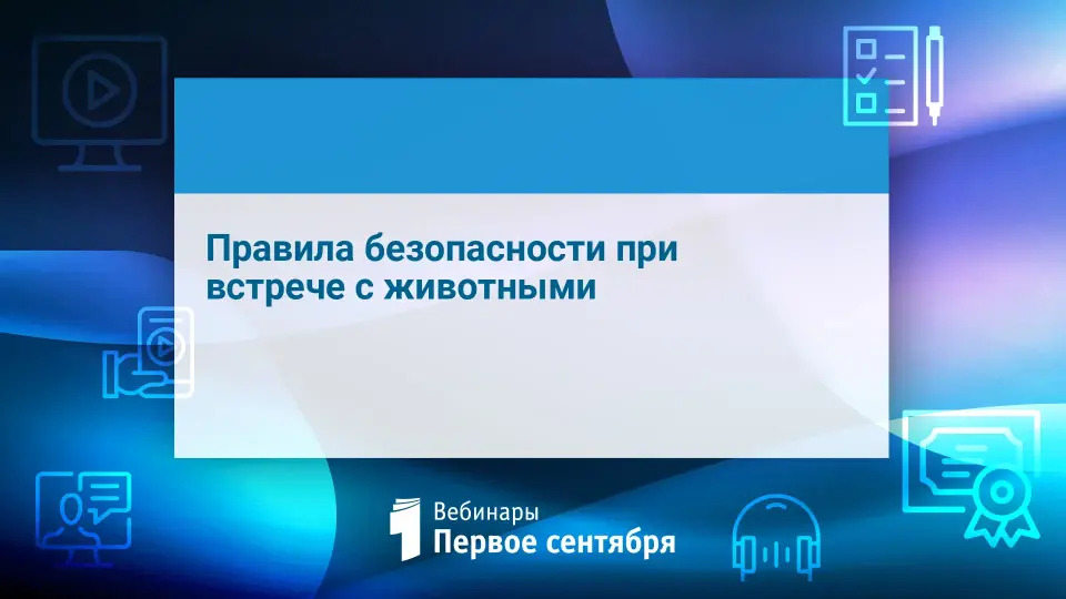 Правила безопасности при встрече с животными