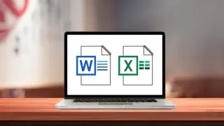 Анализ пакета Microsoft Office: Word и Excel