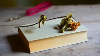 Серебряный век: забытые имена