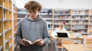 Литература как учебный предмет в современной школе. Задачи литературного образования