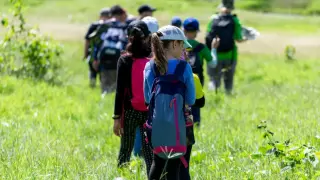Организация туристической и походной деятельности в образовательном учреждении