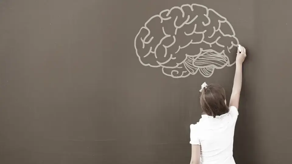 Нейропсихологические упражнения для детей с СДВГ