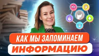 Как мы запоминаем информацию?