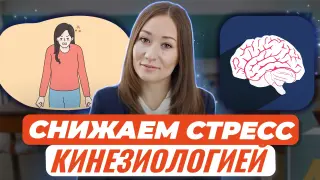 Влияние стресса на обучаемость и способы его снижения с помощью образовательной кинезиологии